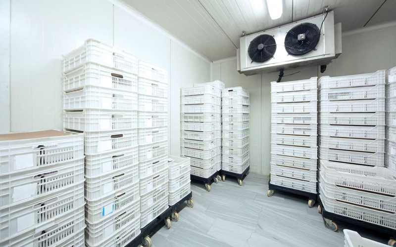 Efficienza delle risorse e gestione ambientale