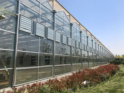 Nuovo aggiornamento dei ventilatori centrifughi a doppia aspirazione SunxFan: la tecnologia di conversione della frequenza EC aiuta le serre di coltivazione fuori suolo per ottenere una ventilazione efficiente e il controllo della temperatura