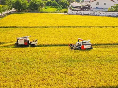 Dalla raccolta del cotone alla raccolta, ventilatori centrifughi a doppia aspirazione SunxFan EC a frequenza variabile