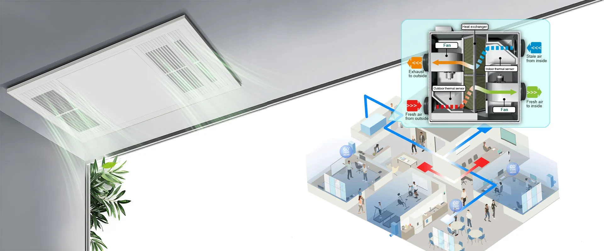 Algoritmo respira, il vento si evolve.